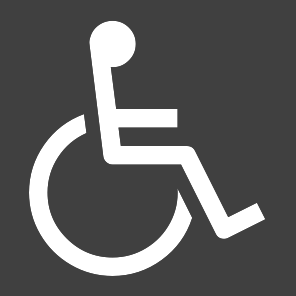 Trasporto disabili